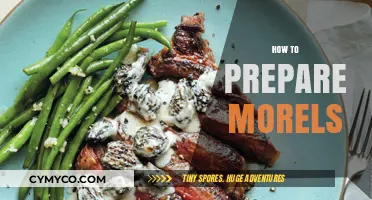 Savor the Spring: A Guide to Preparing and Cooking Morels