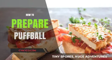 From Forest to Feast: A Guide to Preparing Wild Puffball Mushrooms