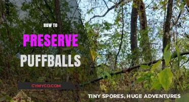 Puffball Preservation: Tips and Tricks for Long-Lasting Edibility