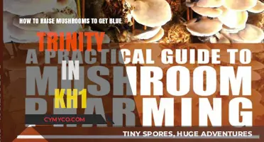 Cultivating Mushrooms for Blue Trinity in Kingdom Hearts 1