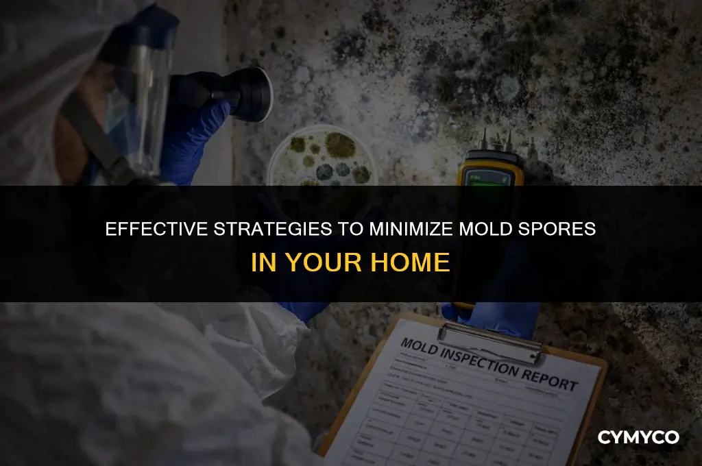 how to reduce mold spores in house