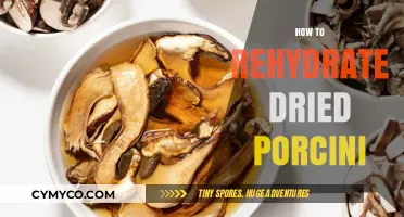 Reviving Earthy Delights: How to Rehydrate Dried Porcini Mushrooms
