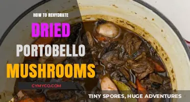 Reviving Flavor: The Art of Rehydrating Dried Portobello Mushrooms