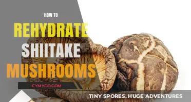 Rehydrating Shiitake Mushrooms: Simple Steps for Perfect Texture and Flavor