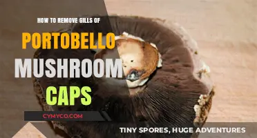 Mastering the Art of Gill Removal: A Portobello Mushroom Guide