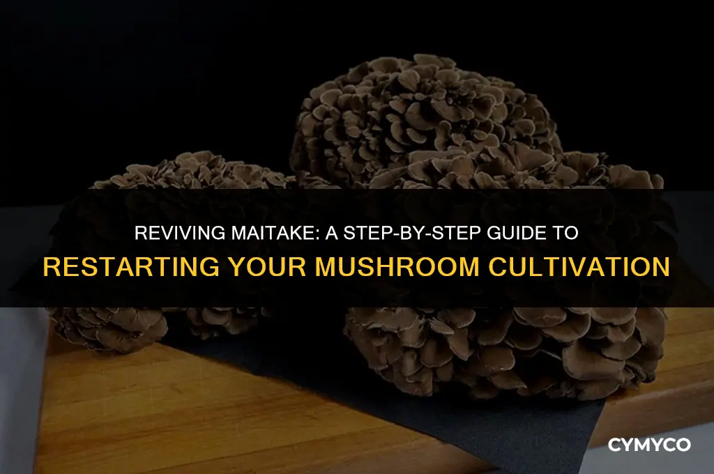 how to restart maitake