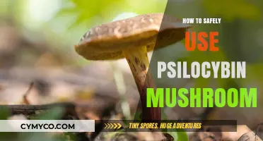 Exploring Psilocybin Mushrooms: A Guide to Safe and Responsible Use
