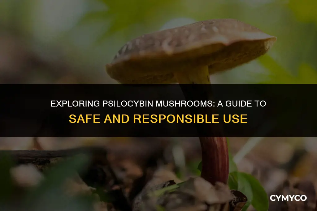 how to safely use psilocybin mushrooms