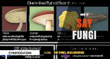 Exploring the Fascinating World of Fungi: A Linguistic Journey