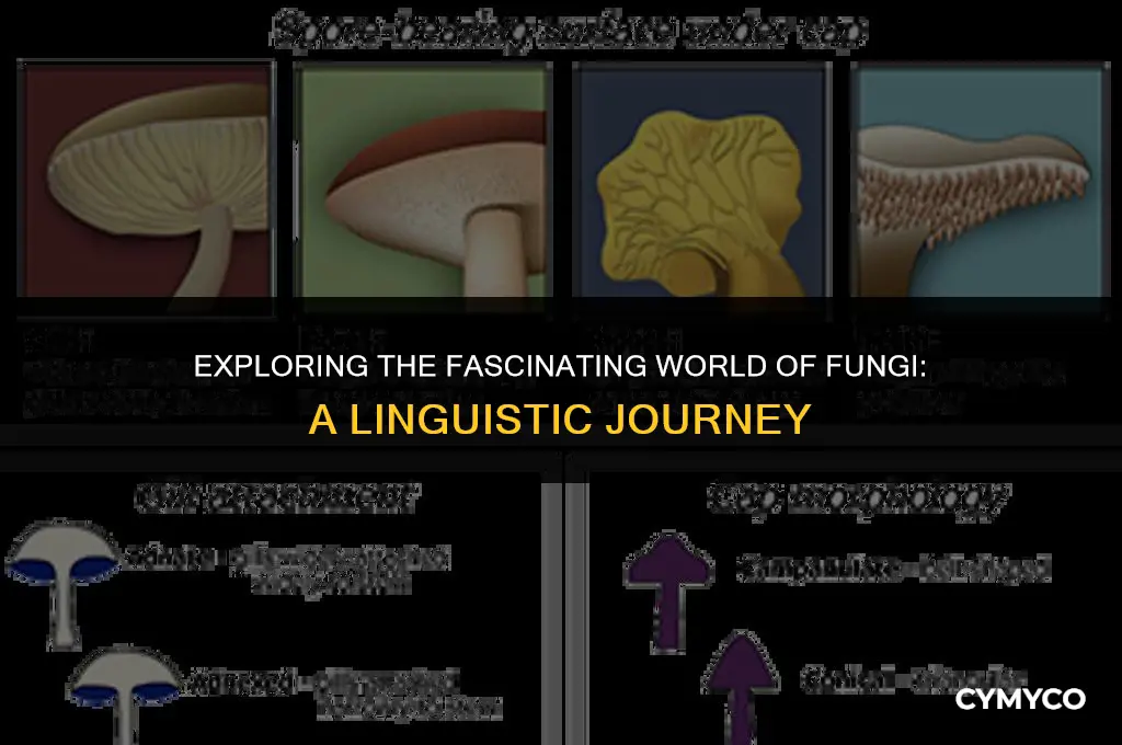 how to say fungi