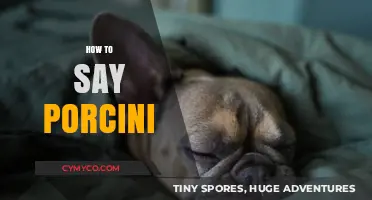 Pronouncing Porcini: A Guide to Mastering the Mushroom's Name