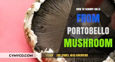 Mastering the Art of Gill Removal from Portobello Mushrooms