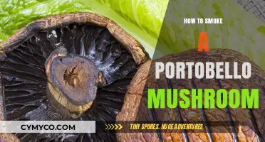 Savor the Flavor: A Guide to Smoking Portobello Mushrooms