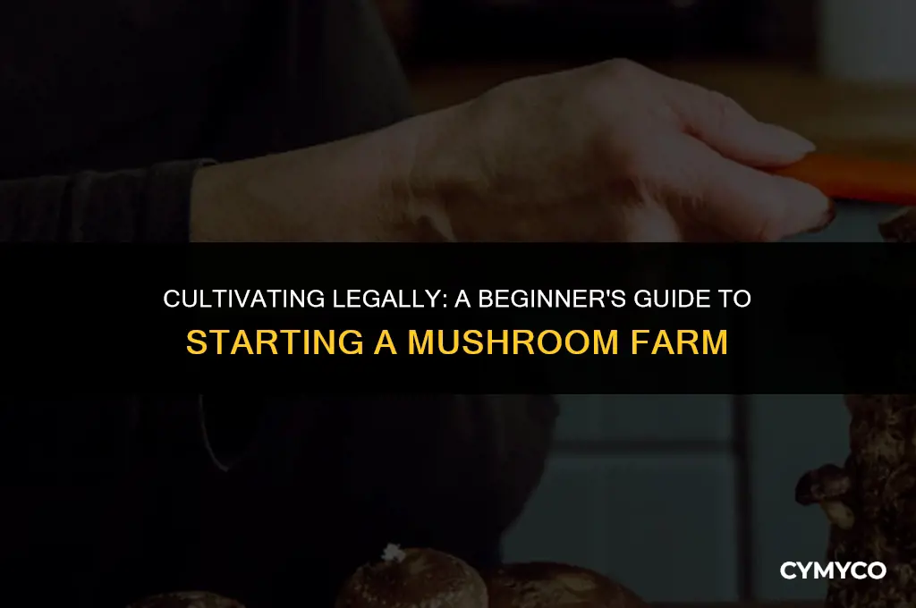 how to start a legal mushroom farm