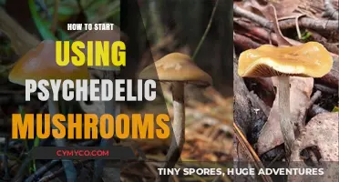Exploring the Mind: A Beginner's Guide to Psychedelic Mushrooms