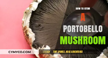 Mastering the Art of Stemming a Portobello Mushroom