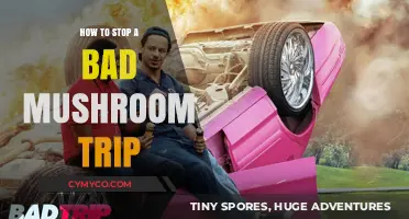 Navigating a Difficult Psychedelic Experience: Strategies to Halt a Bad Trip