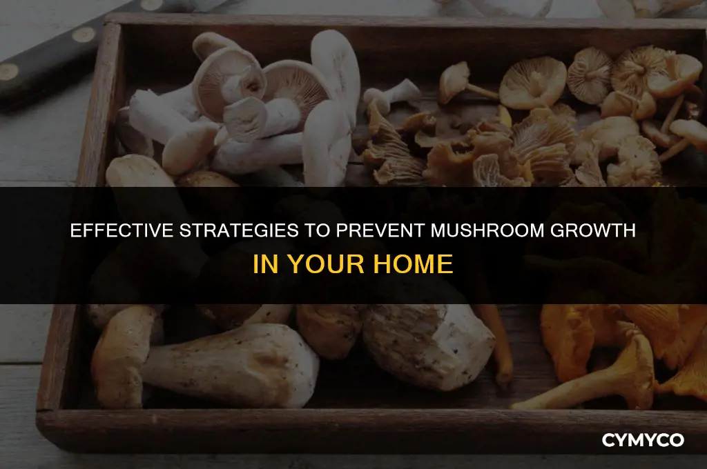 how to stop mushrooms from growing