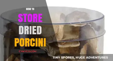 Preserving Earthy Delights: The Ultimate Guide to Storing Dried Porcini Mushrooms