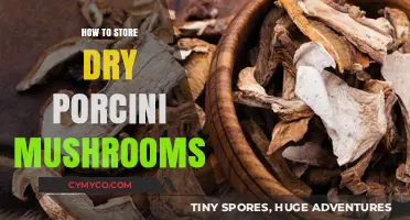 Preserving Gourmet Delights: The Ultimate Guide to Storing Dry Porcini Mushrooms