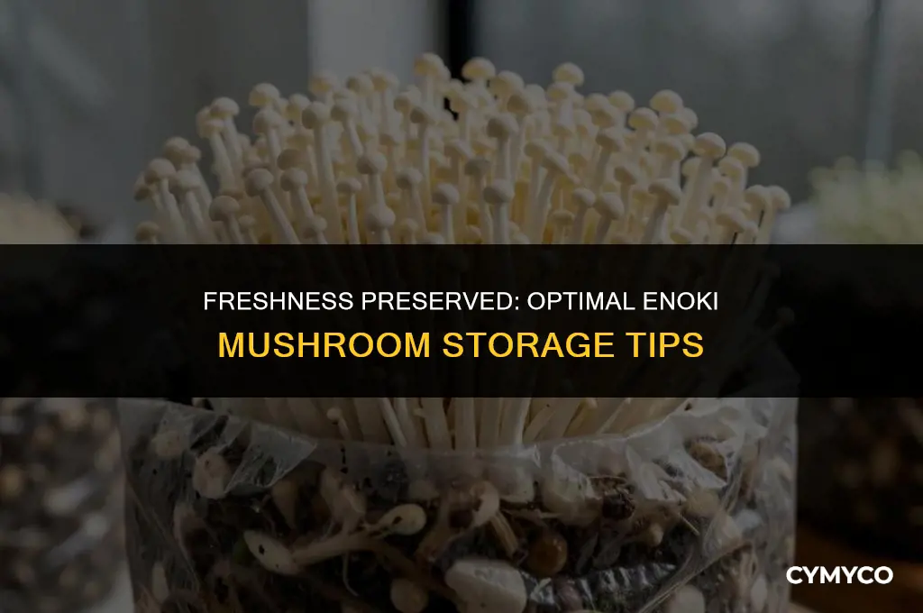 how to store enoki mushrooms in fridge