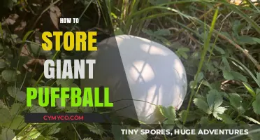 Preserving the Bounty: Optimal Storage Tips for Giant Puffballs