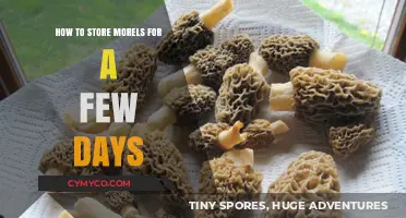 Preserving Morel Mushrooms: A Guide to Short-Term Storage