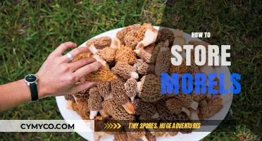 Savoring Spring's Bounty: The Ultimate Guide to Storing Morels