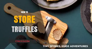 Truffle Treasures: The Ultimate Guide to Storing Gourmet Delights