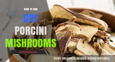 Sun-Drying Porcini Mushrooms: A Simple Guide to Preserving Nature's Bounty