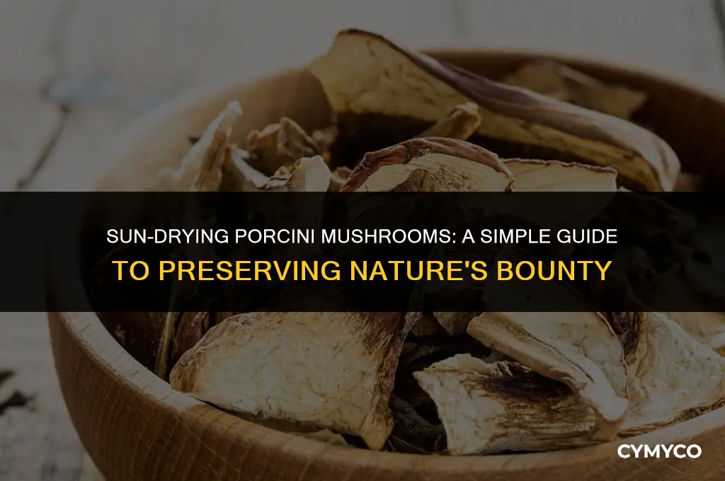 how to sun dry porcini mishrooms