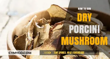 Sun-Drying Porcini Mushrooms: A Simple Guide to Preserving Nature's Bounty
