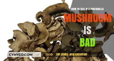 Spotting Spoiled Portabellas: Signs Your Mushroom Has Gone Bad