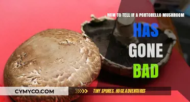 Spotting Spoilage: A Guide to Portobello Mushroom Freshness