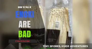 Fresh or Foul: A Guide to Identifying Spoiled Enoki Mushrooms