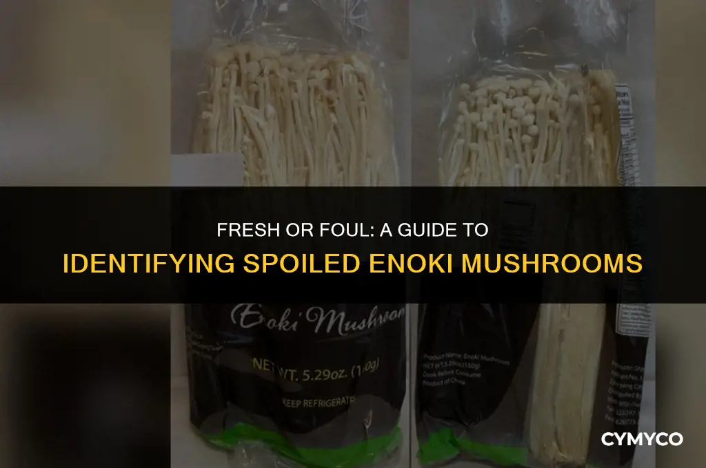 how to tell if enoki are bad