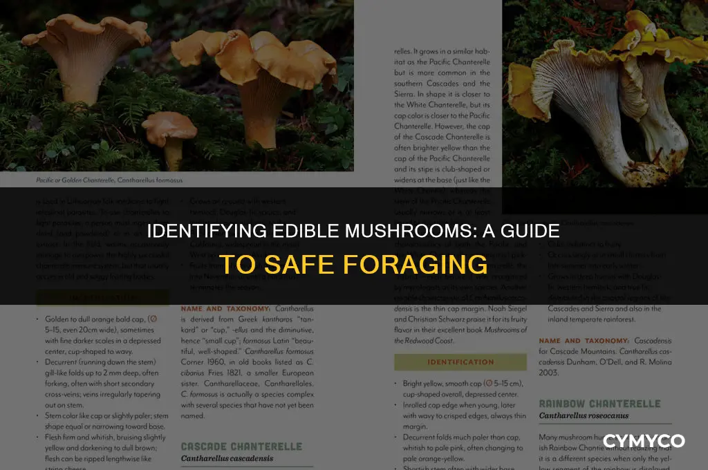 how to tell if mushrooms are good
