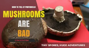 Identifying Spoilage in Portobello Mushrooms: A Comprehensive Guide