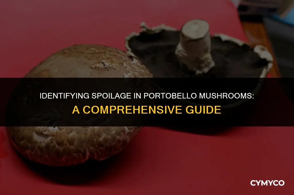 how to tell if portobello mushrooms are bad