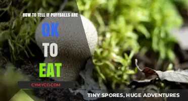 Identifying Edible Puffballs: A Guide for Safe Foraging