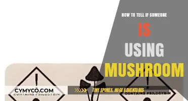 Signs of Mushroom Use: A Guide to Spotting the Symptoms