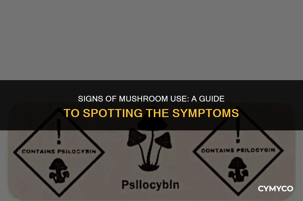 how to tell if someone is using mushrooms