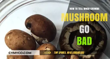 Spotting Spoilage: A Guide to Fresh Cremini Mushrooms