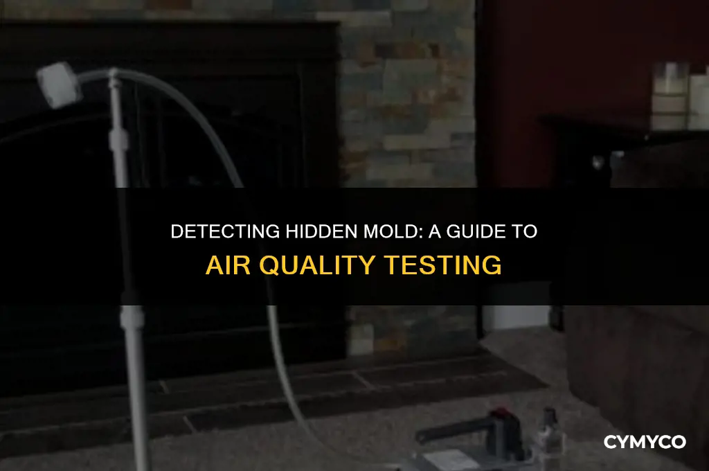 how to test for mold spores in the air