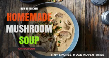 Mastering the Perfect Consistency: Tips for Thickening Homemade Mushroom Soup