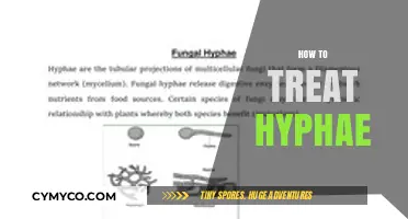 Effective Strategies for Treating Hyphae: A Comprehensive Guide