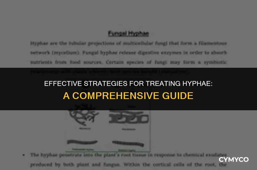 how to treat hyphae
