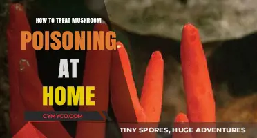 Home Remedies for Mushroom Poisoning: Quick and Safe Treatment Tips