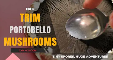 Mastering the Art of Trimming Portobello Mushrooms: A Step-by-Step Guide