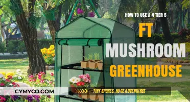 Maximize Your Yield: A Guide to Utilizing a 4-Tier Mushroom Greenhouse